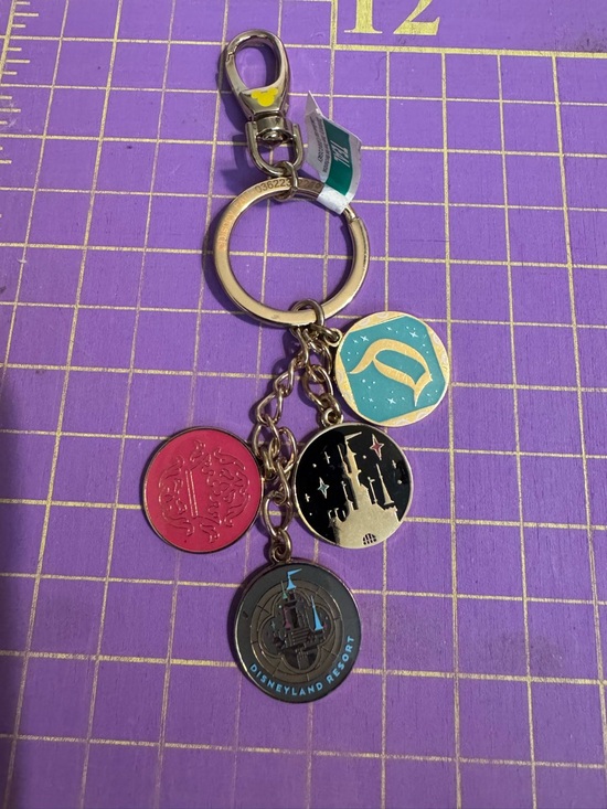 Disney Accessories - NWT Disney Resort Multicolor Double Sided Coin Purse Charm Keychain